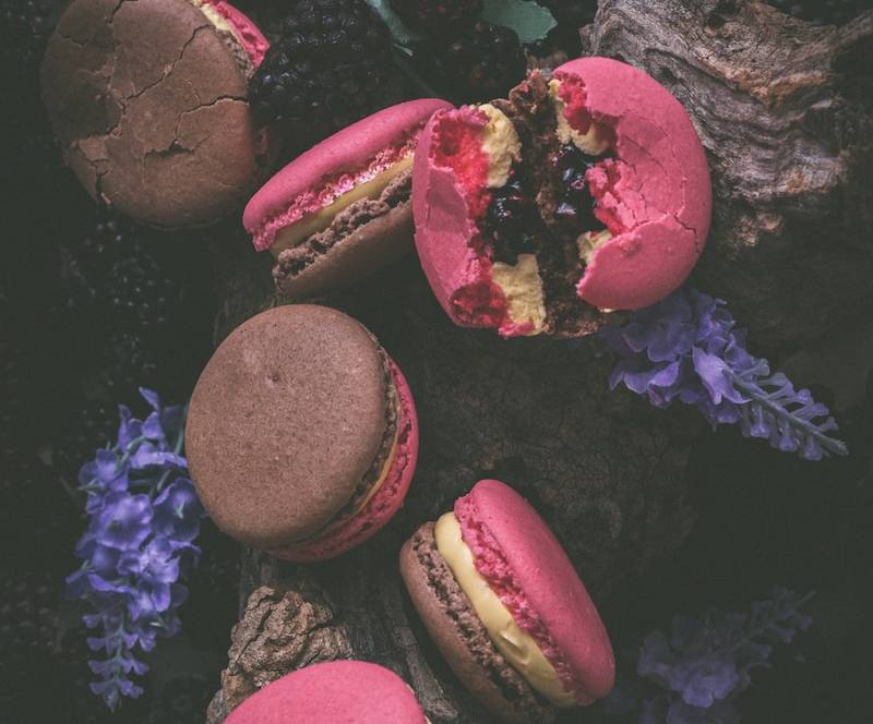 red and brown sea shells